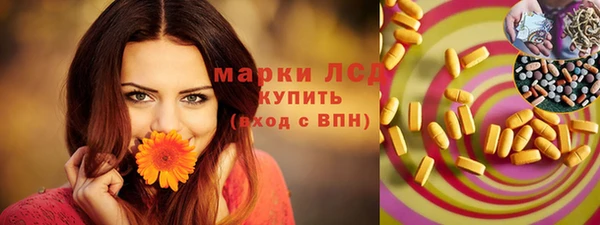 индика Абаза