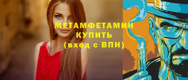 индика Абаза