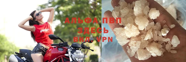 индика Абаза