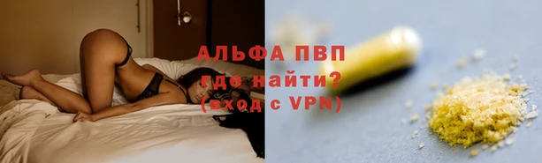 PSILOCYBIN Алексин