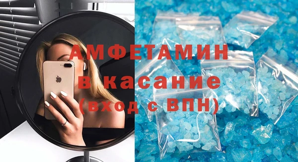 индика Абаза