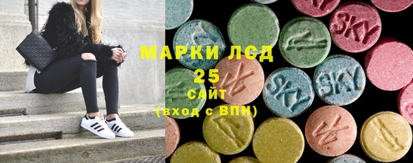 индика Абаза