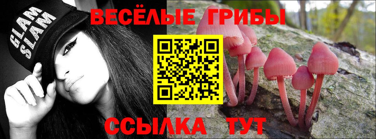 Галлюциногенные грибы мицелий  Псилоцибиновые грибы Cubensis  Нальчик  Вход с VPN 